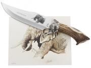 Nůž Muela Elephant Big Five